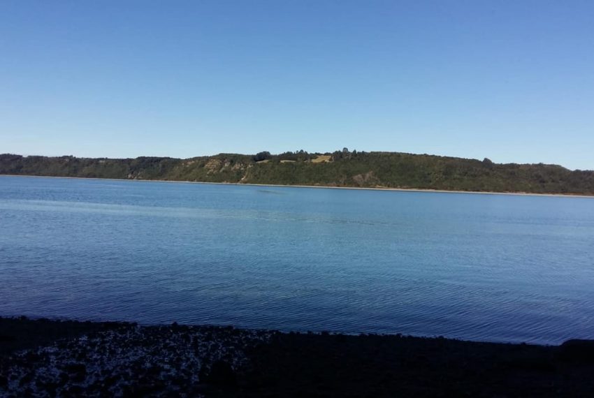 WhatsApp Image 2021-01-31 at 17.10.51-2