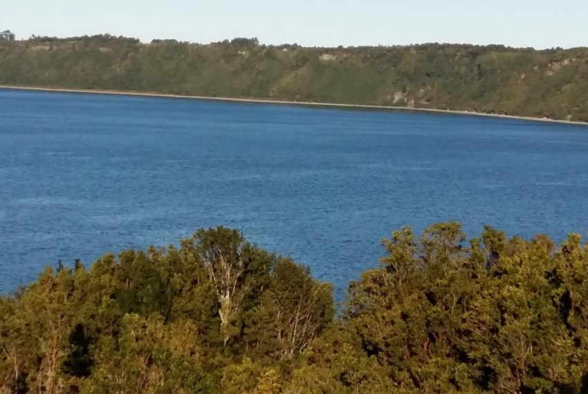 WhatsApp Image 2021-01-31 at 17.10.51