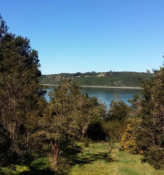 WhatsApp Image 2021-01-31 at 17.10.52-3