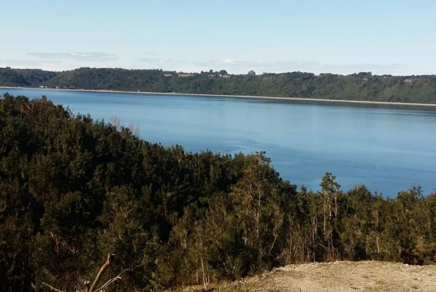 WhatsApp Image 2021-01-31 at 17.10.53-2