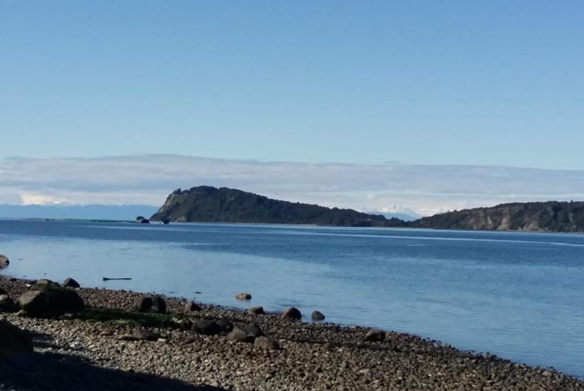 WhatsApp Image 2021-01-31 at 17.10.53-3