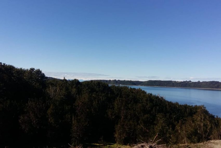 WhatsApp Image 2021-01-31 at 17.10.53