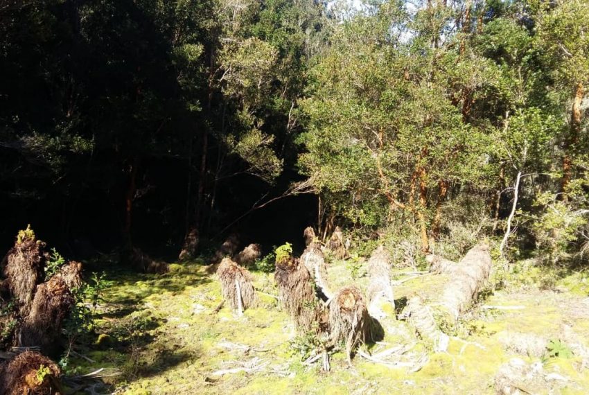 WhatsApp Image 2021-01-31 at 17.10.54-2