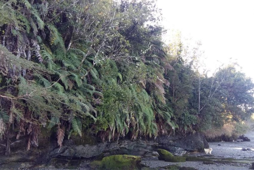 WhatsApp Image 2021-01-31 at 17.10.54