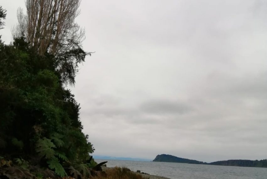 WhatsApp Image 2021-01-31 at 18.06.10