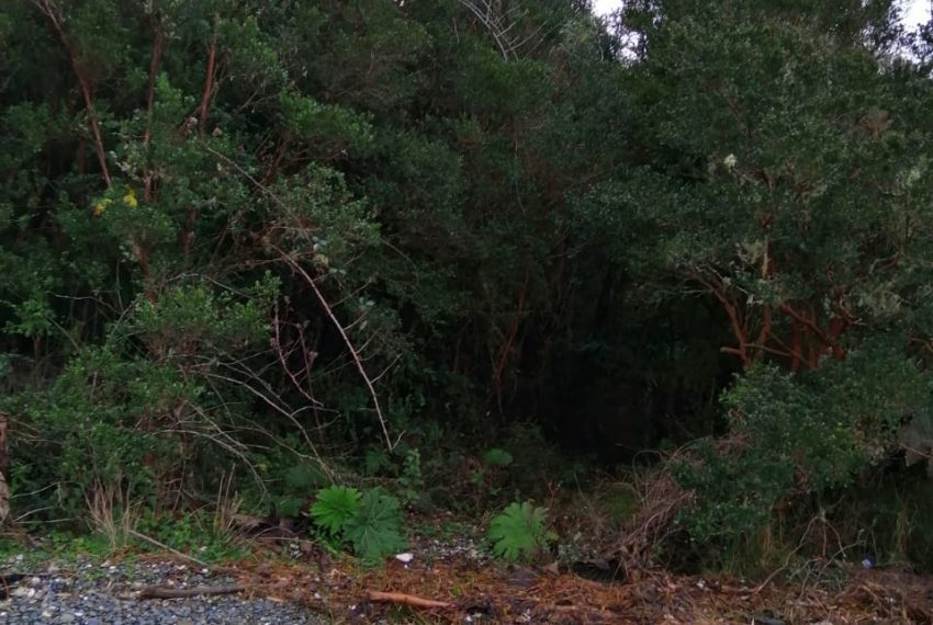 WhatsApp Image 2021-01-31 at 18.06.11-2