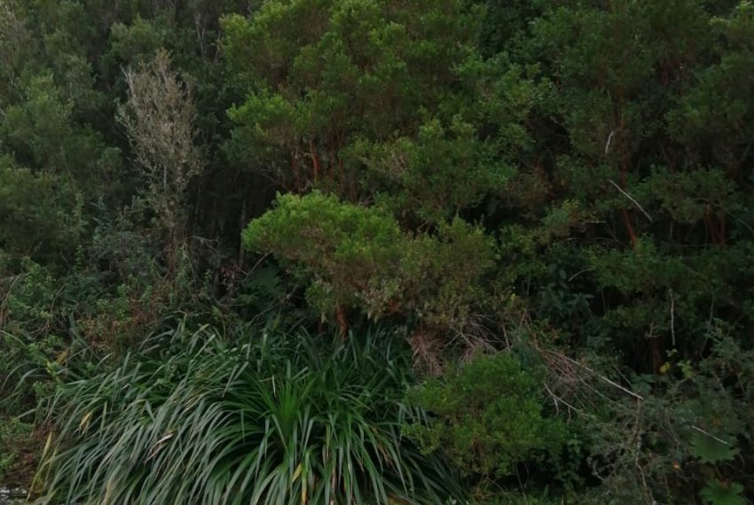 WhatsApp Image 2021-01-31 at 18.06.12-2