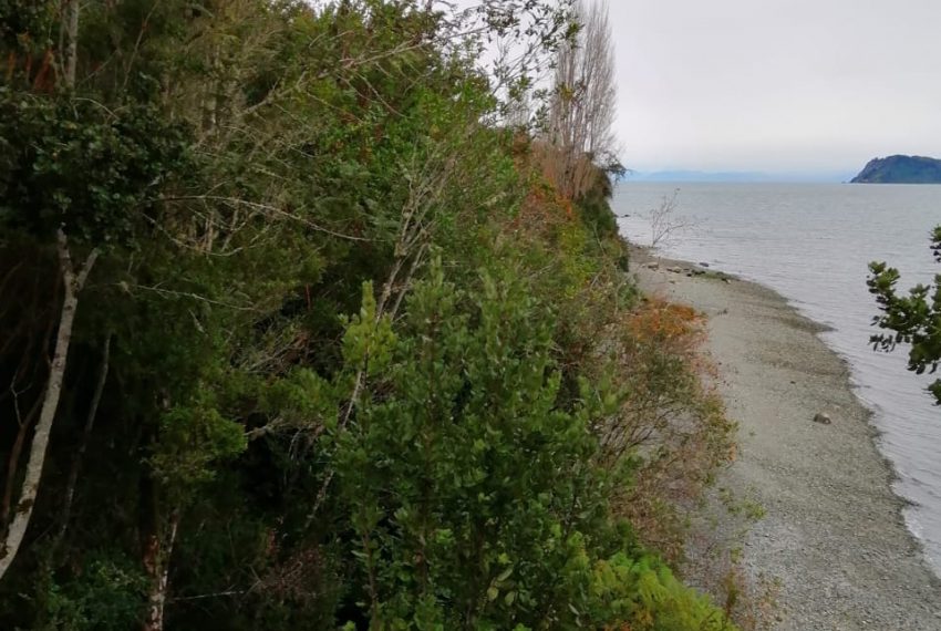 WhatsApp Image 2021-01-31 at 18.06.15-2