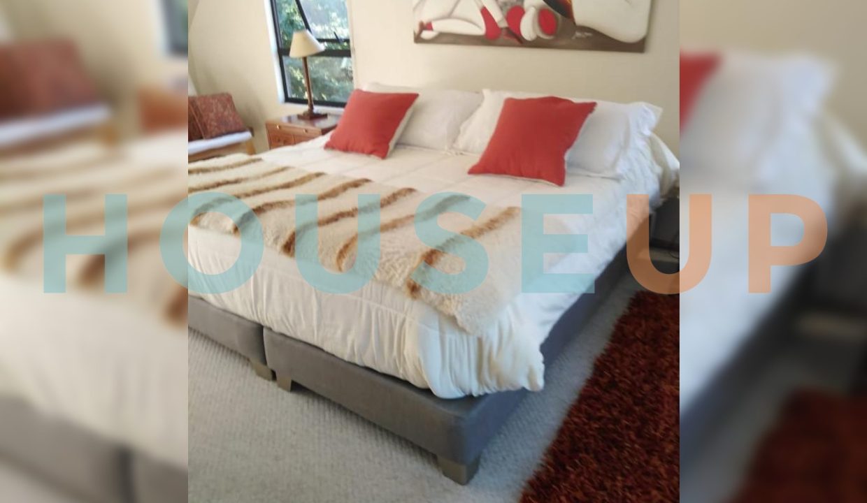 Captura de pantalla 2025-12-08 020324