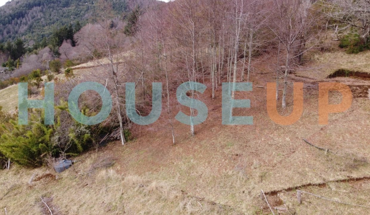 Captura de pantalla 2025-12-03 091905