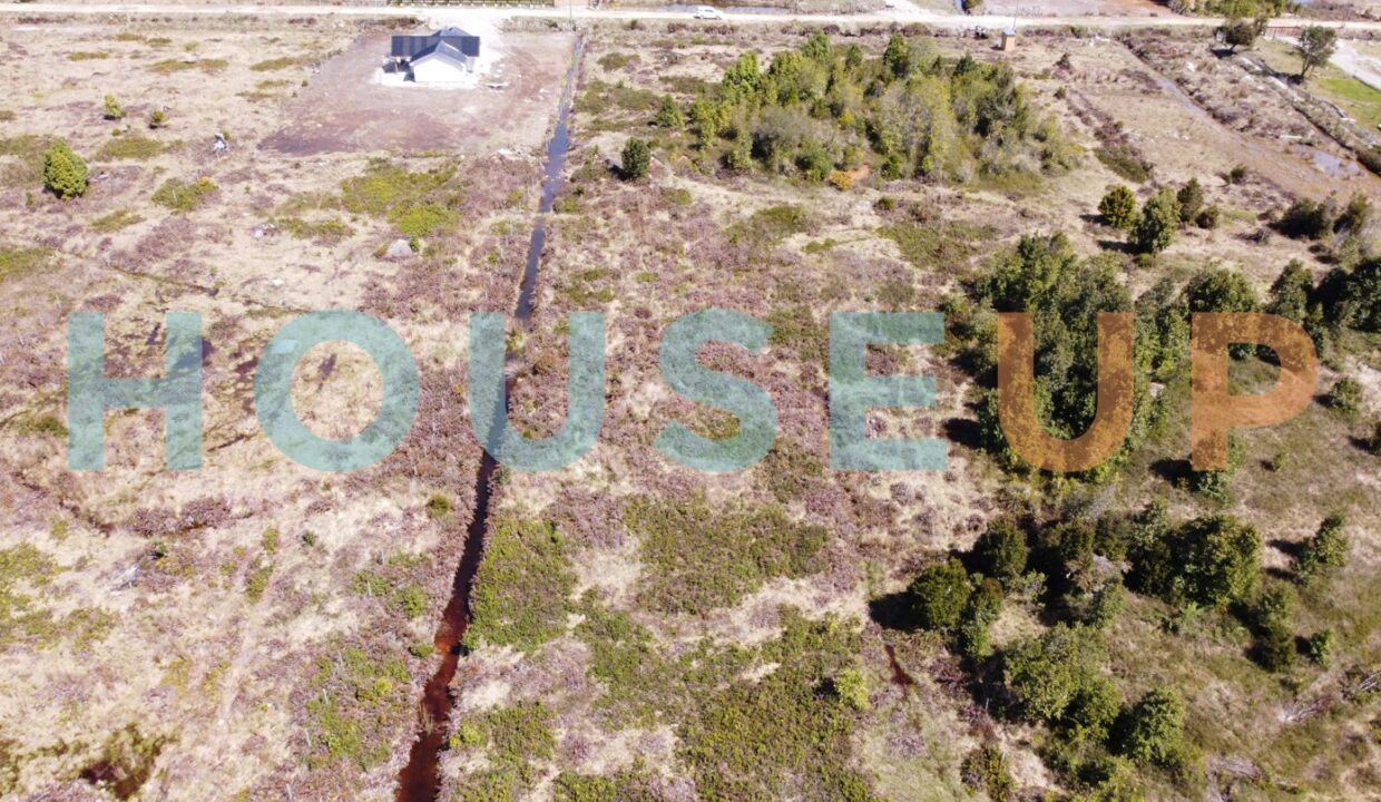 Captura de pantalla 2026-01-15 210442