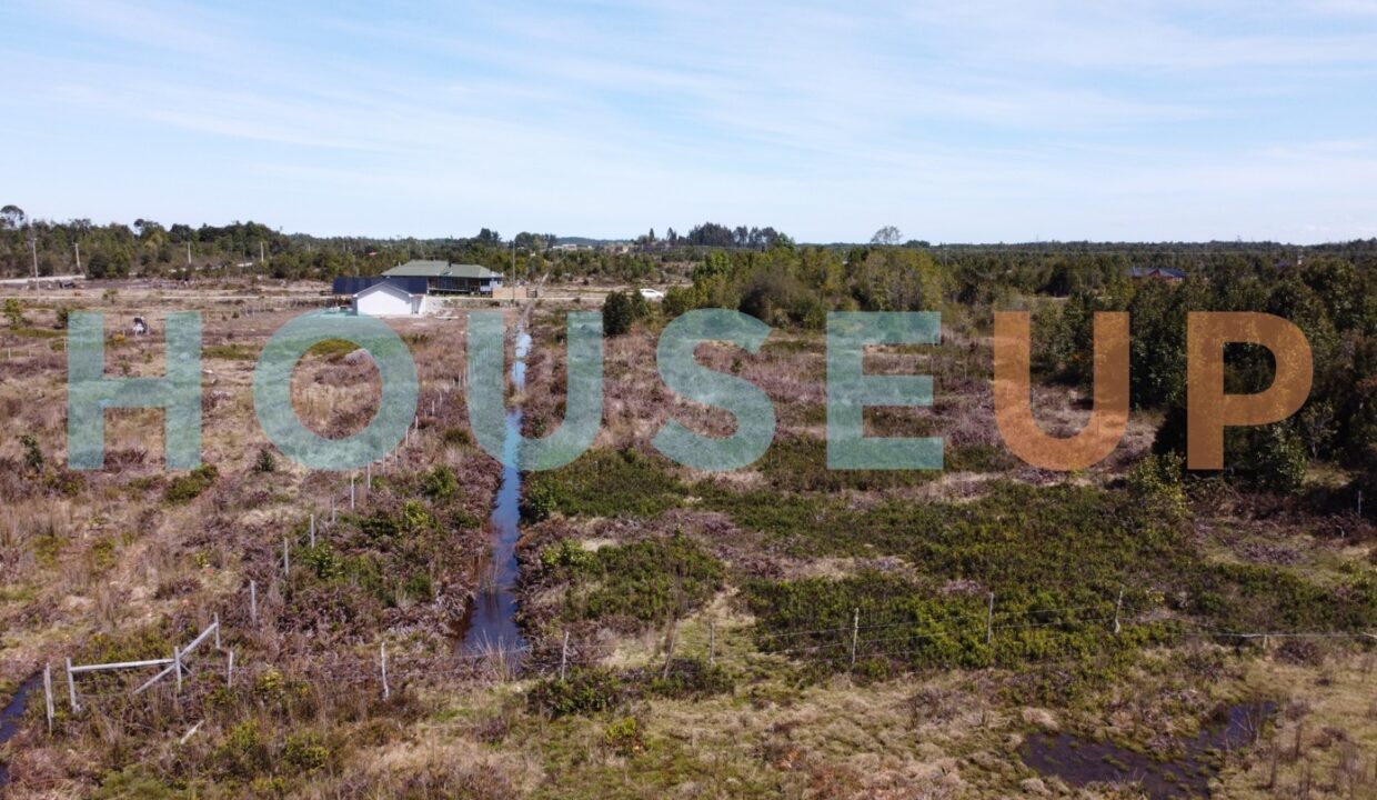 Captura de pantalla 2026-01-15 210513