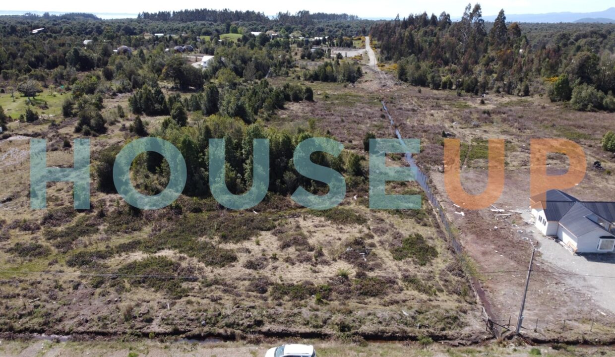 Captura de pantalla 2026-01-15 210601