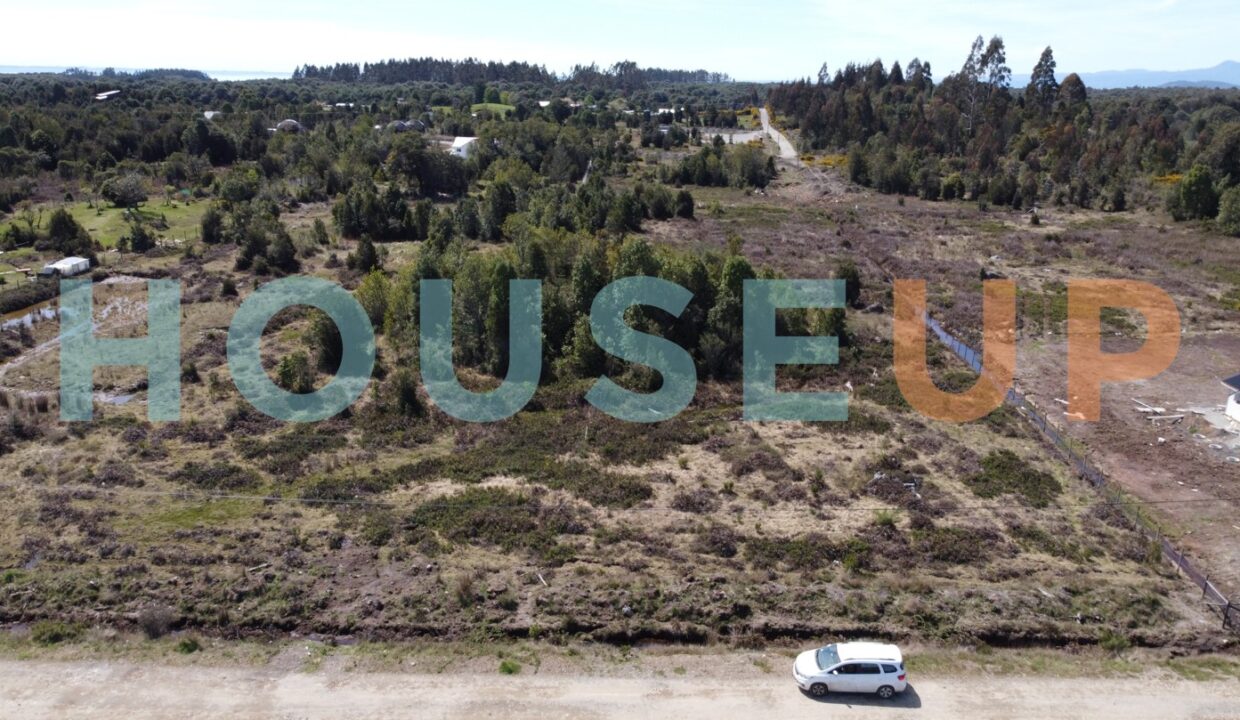 Captura de pantalla 2026-01-15 210614