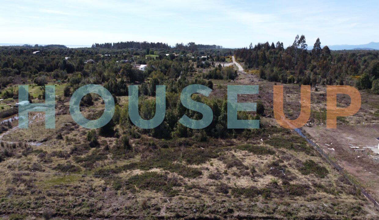 Captura de pantalla 2026-01-15 210630