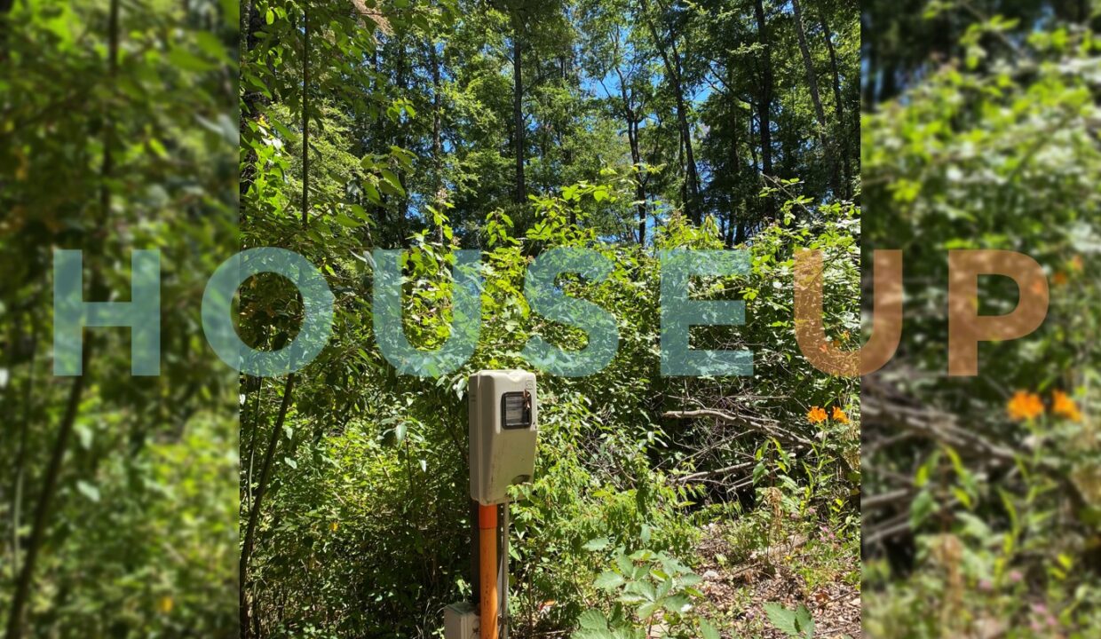 Captura de pantalla 2026-01-15 223820