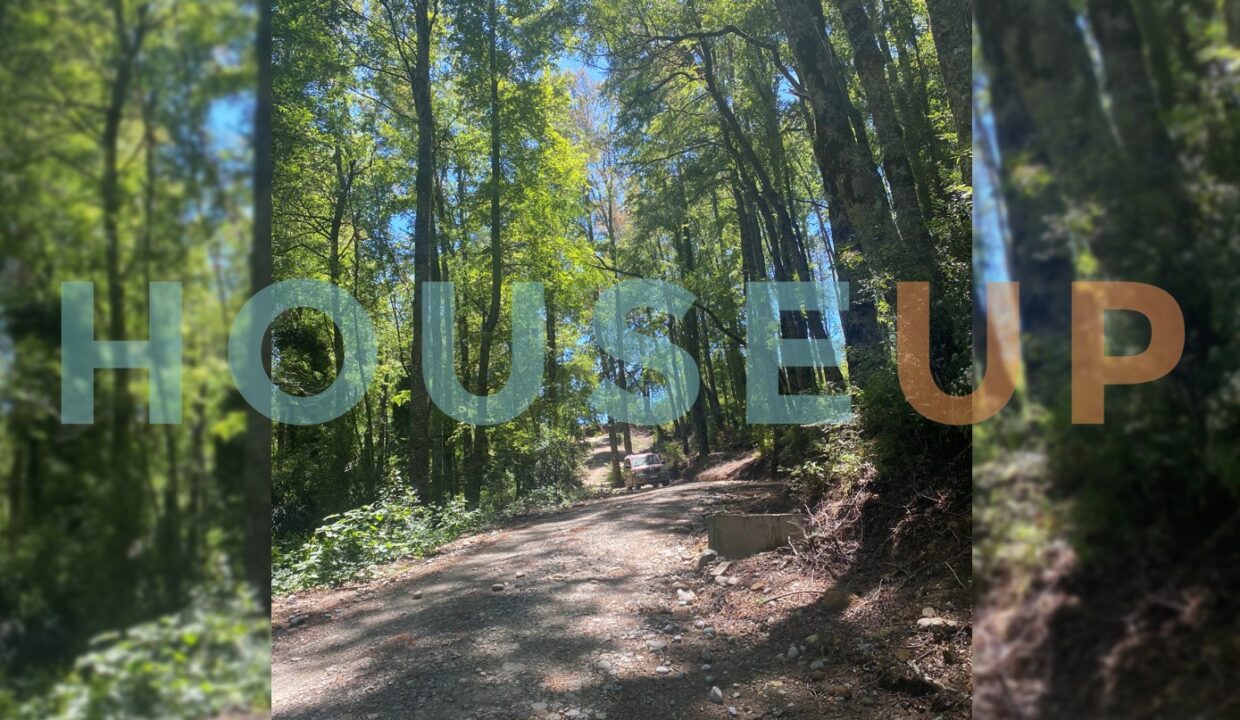 Captura de pantalla 2026-01-15 223844