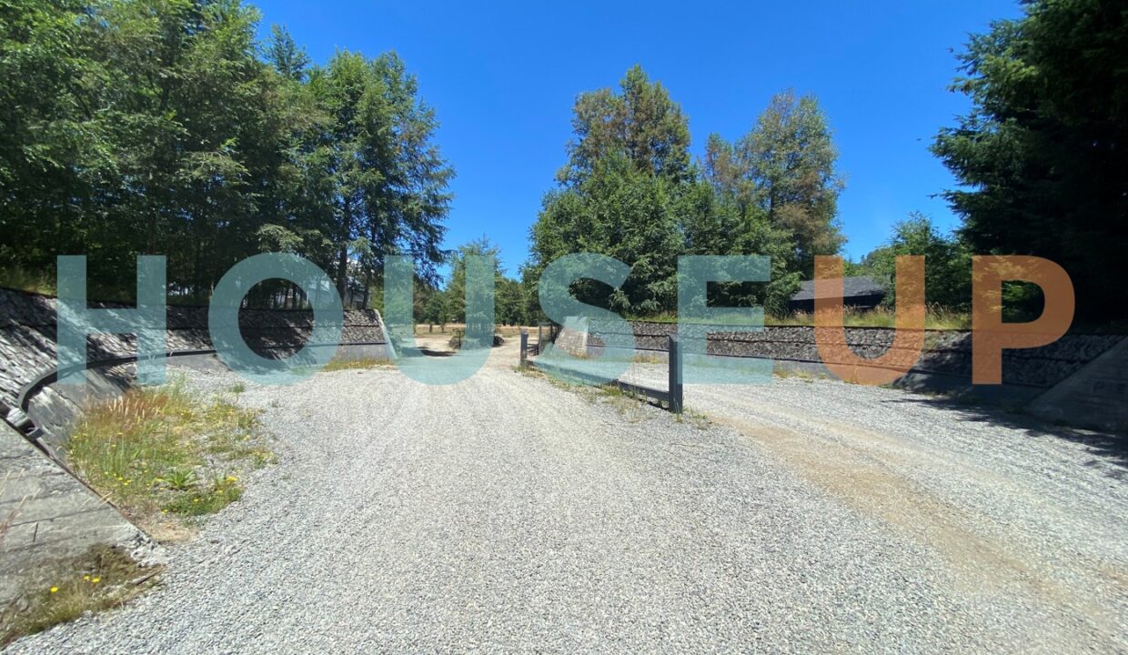 Captura de pantalla 2026-01-15 223929