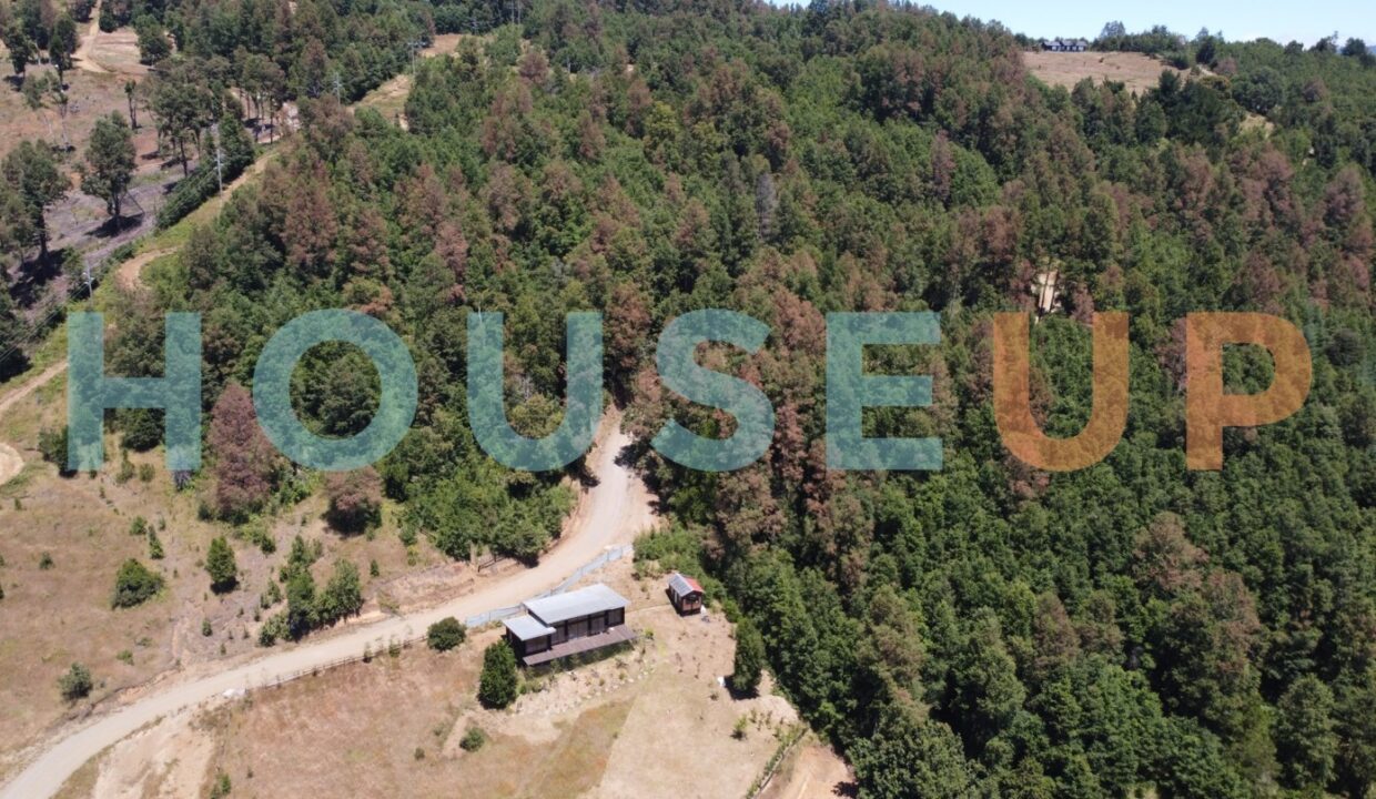 Captura de pantalla 2026-01-15 224005