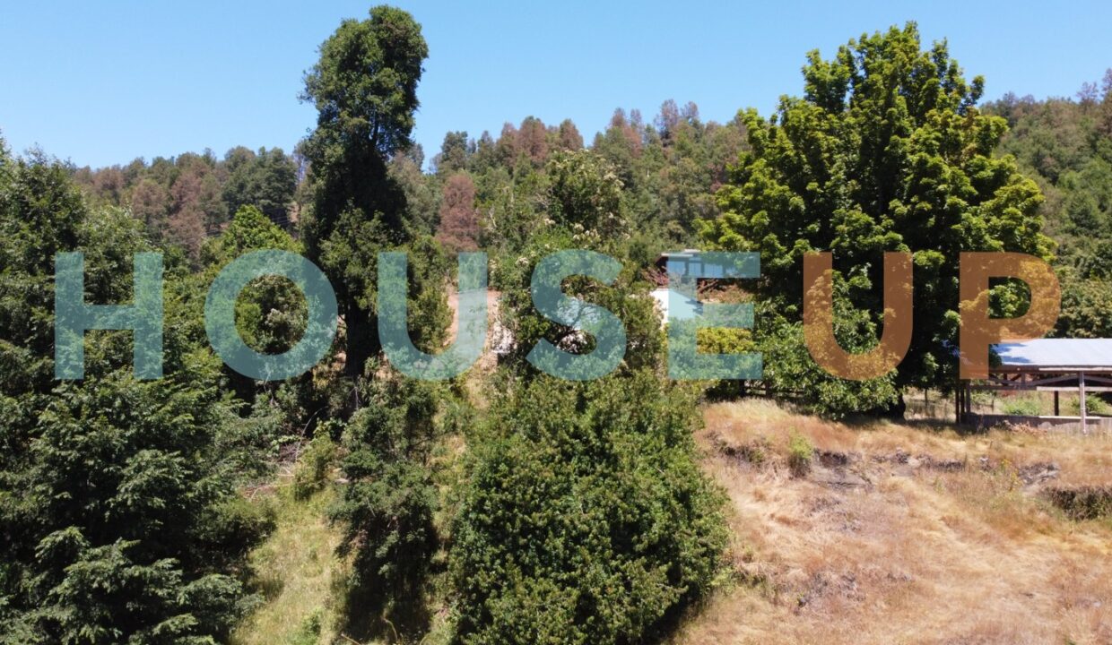 Captura de pantalla 2026-01-15 224018