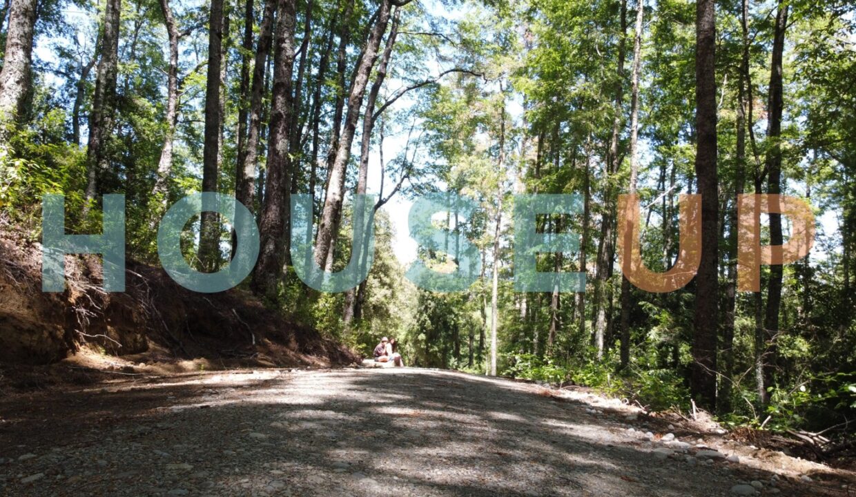 Captura de pantalla 2026-01-15 224046