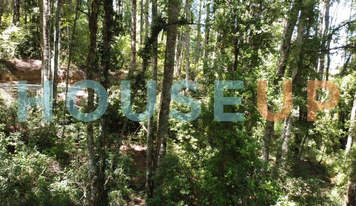 Captura de pantalla 2026-01-15 224058