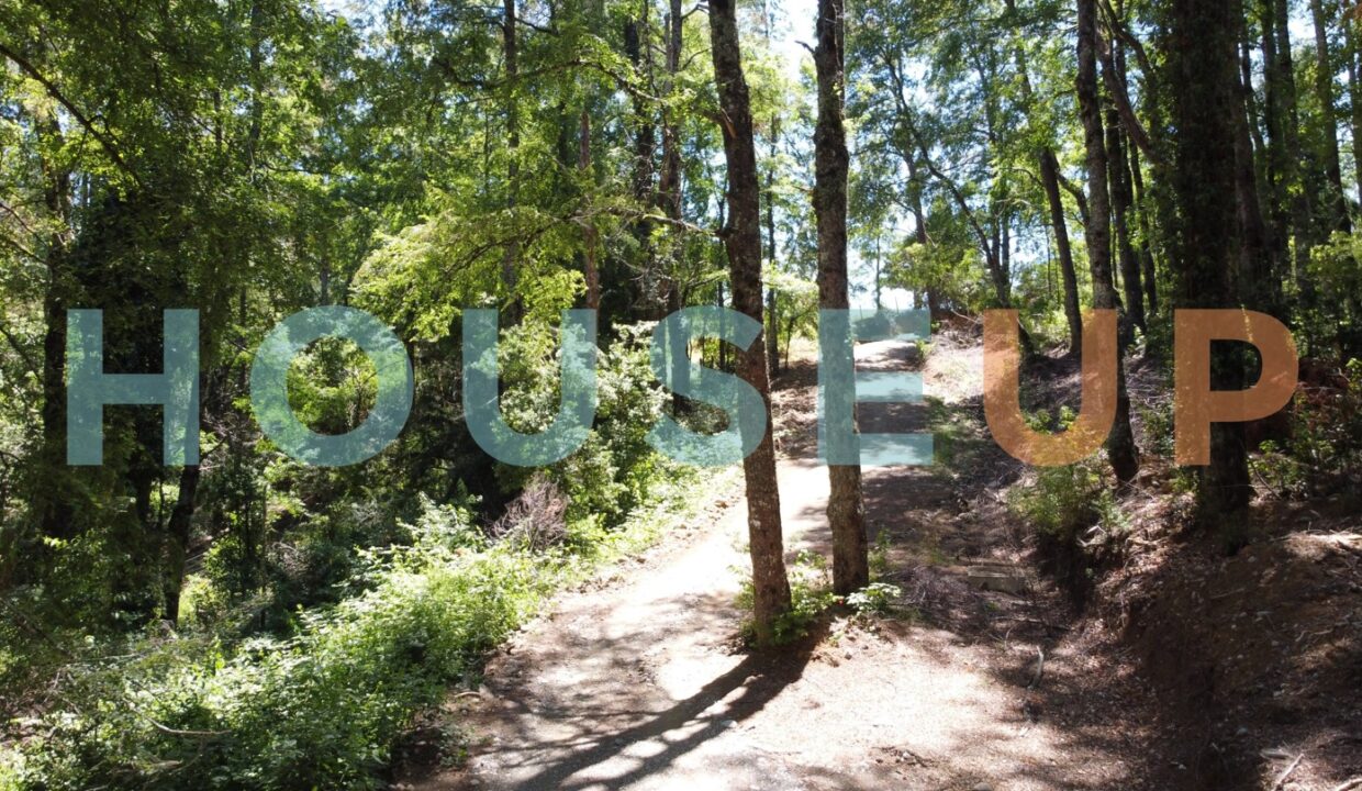 Captura de pantalla 2026-01-15 224109