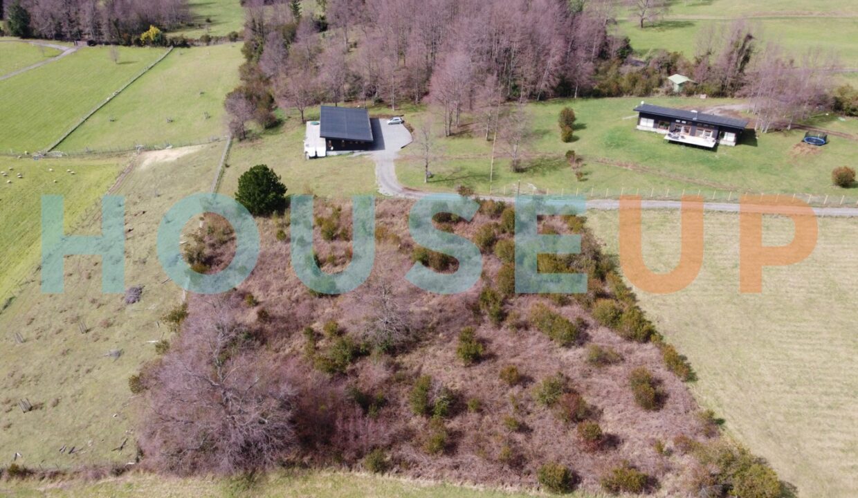 Captura de pantalla 2026-01-29 111033