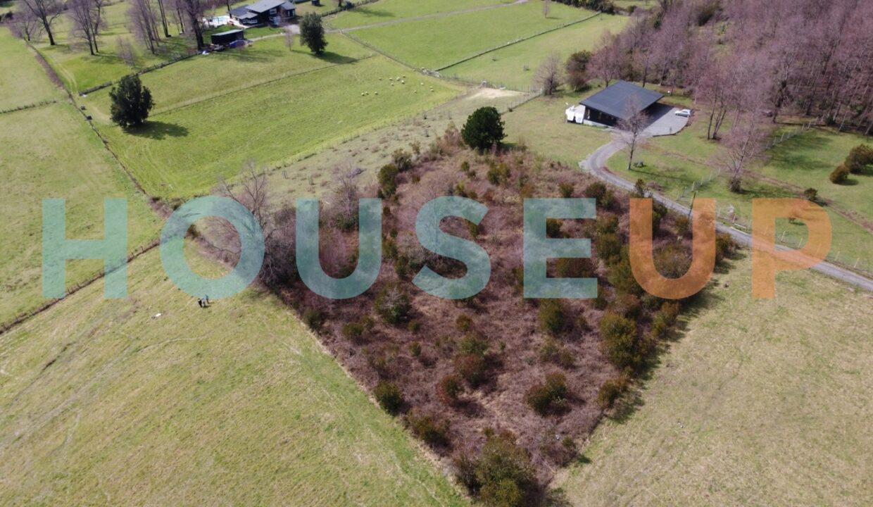 Captura de pantalla 2026-01-29 111049