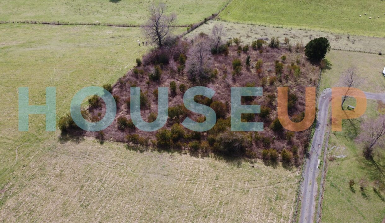 Captura de pantalla 2026-01-29 111103