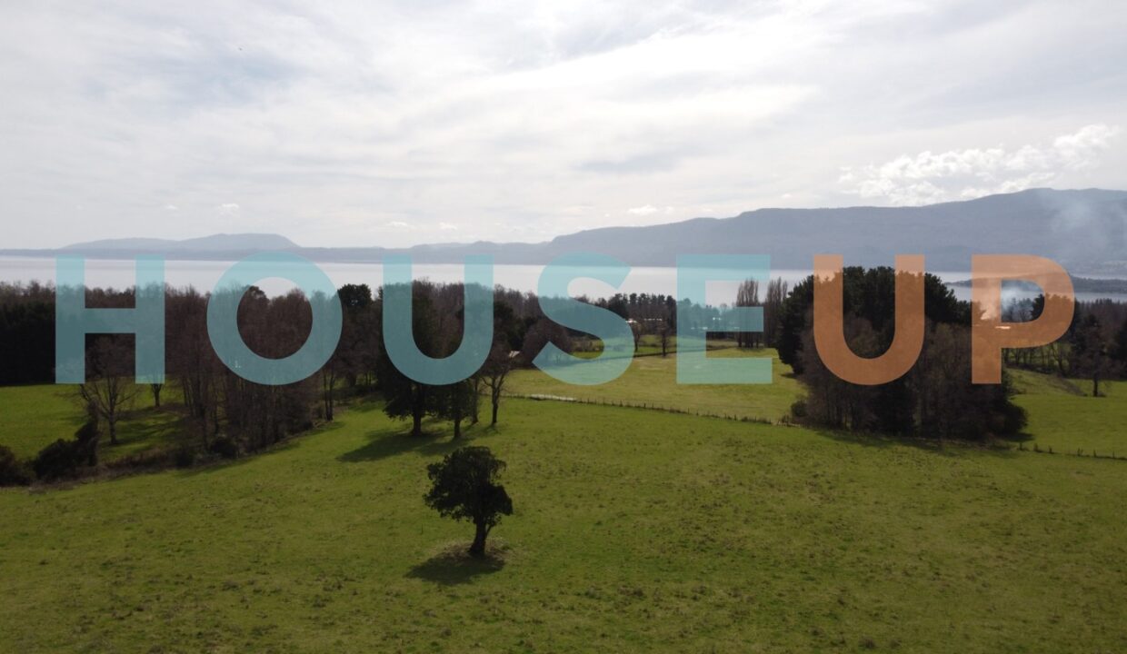 Captura de pantalla 2026-01-29 111127