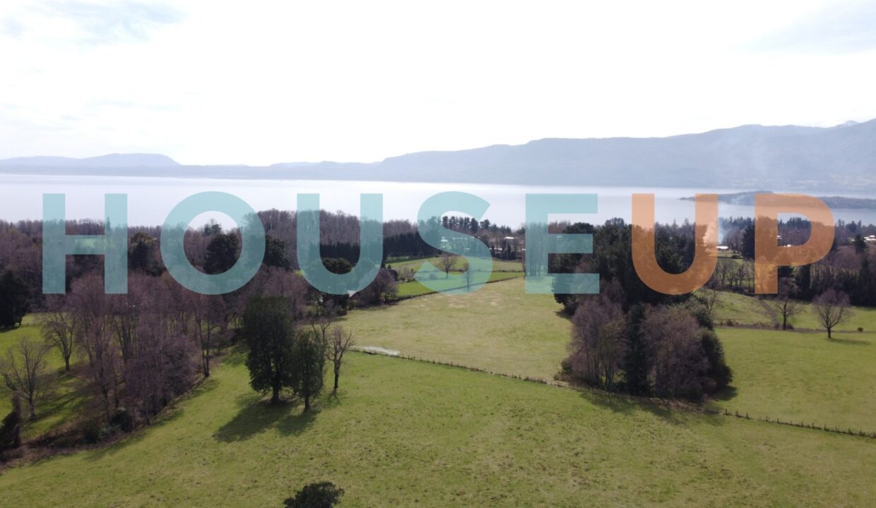 Captura de pantalla 2026-01-29 111149