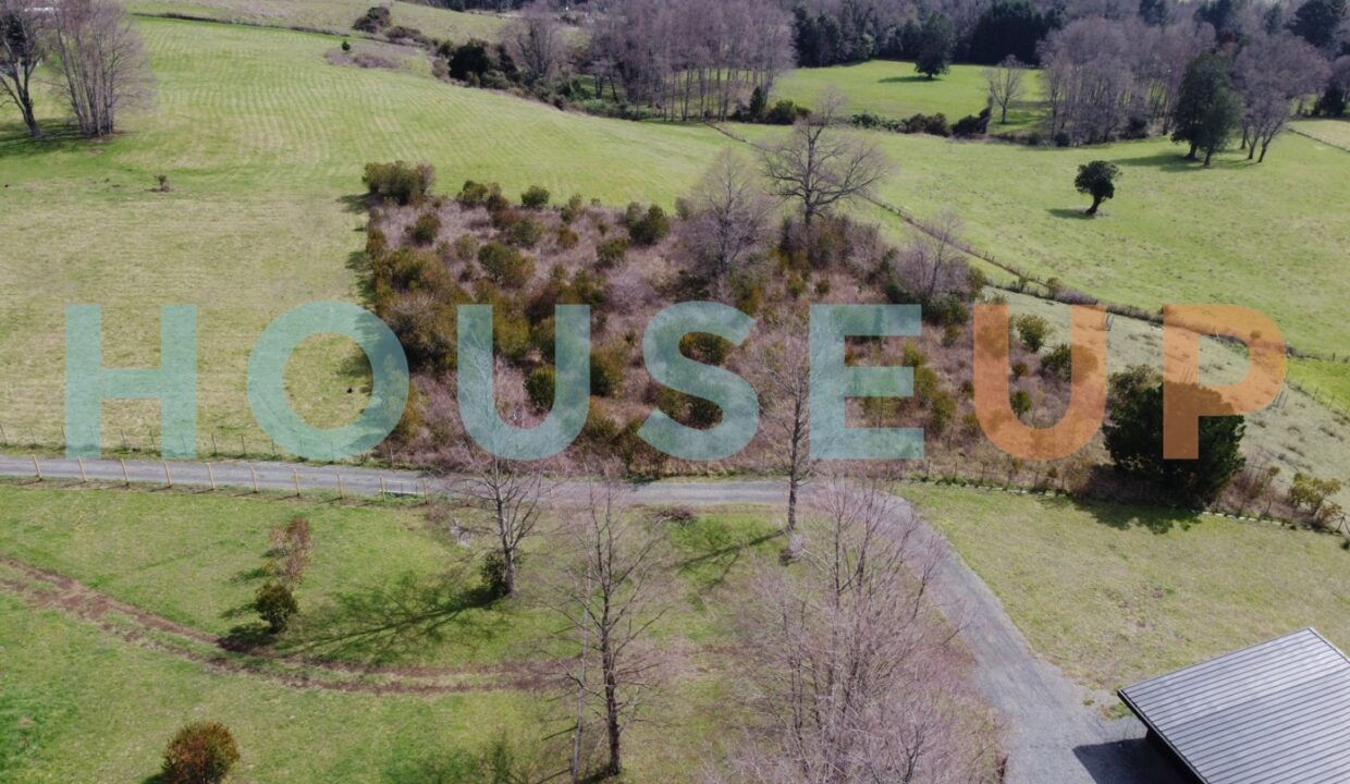 Captura de pantalla 2026-01-29 111300