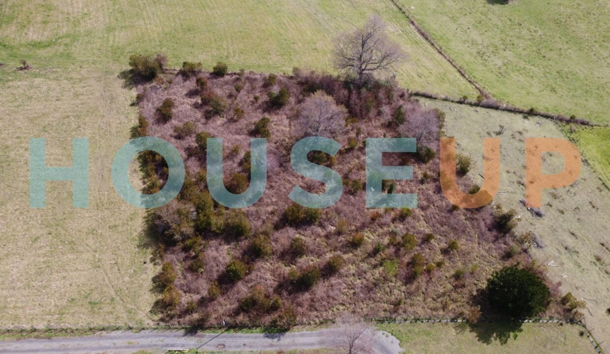 Captura de pantalla 2026-01-29 111316